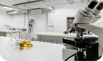 mais_5lab-min